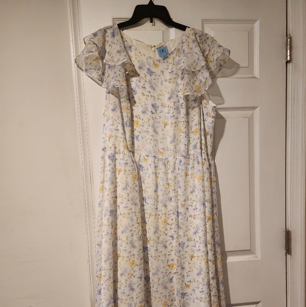 Floral Print Dress with Ruffled Sleeves
